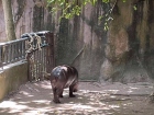 โครงการศึกษานอกสถานที่ “ป.4 : ท่องแดนมหัศจรรย์ในเขาเขียว” Image 46